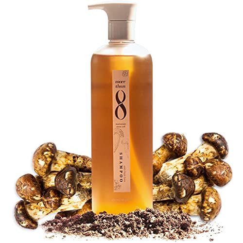 Morethan8 Anti Hair Loss Shampoo with Matsutake Stem Cell Extract 480ml Hair Thickening Formula for Thinning Hair Promot