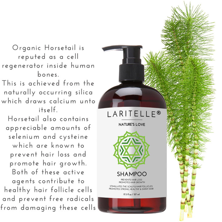 Laritelle Organic Shampoo 17 oz Conditioner 16 oz Prevents Hair Loss Promotes Hair Growth Organic Quinoa Keratin Rosemar
