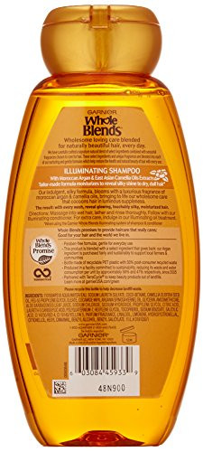 Garnier Whole Blends Shampoo with Moroccan Argan Camellia Oils Extracts 125 fl oz