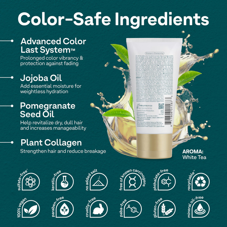 Colorproof Curl Shampoo for Women 17 Fl Oz Curly Hair Shampoo that Nourishes Defines and Leaves Curls Soft Smooth White