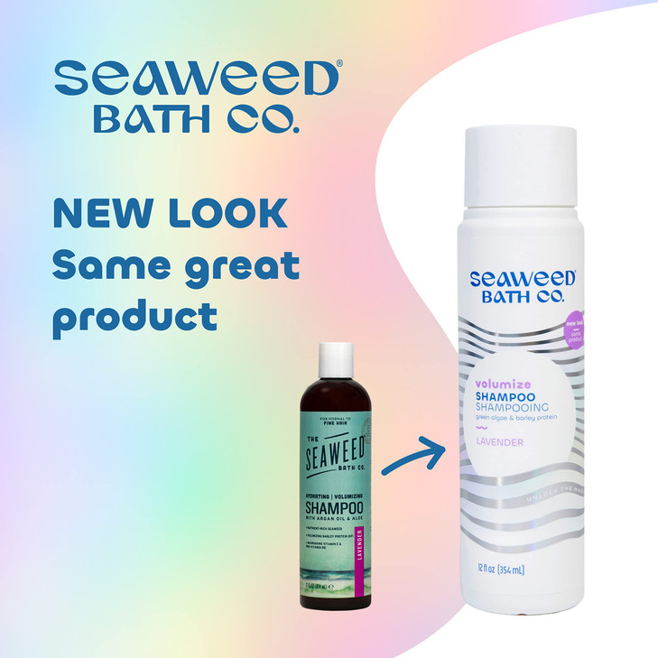 Seaweed Bath Co Volumize Shampoo Lavender Scent 12 Ounce Sustainably Harvested Seaweed Green Algae Barley Protein For No