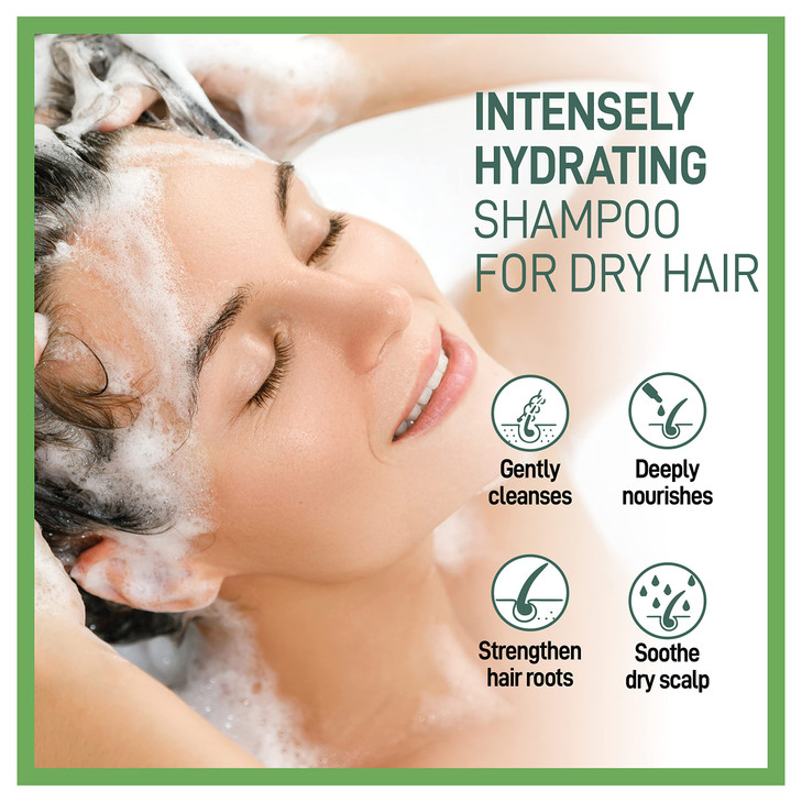 Moraz Herbal Moisturizing Shampoo for Dry Damaged Hair ColorSafe No Paraben SLSFee No Harsh Salts Hydrating Shampoo with