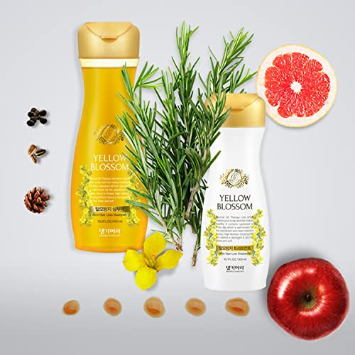 Daeng Gi Meo Ri Hair Blossom Set Yellow Blossom Hair Shampoo 400ml Treatment Nourishing and Fresh 300ml