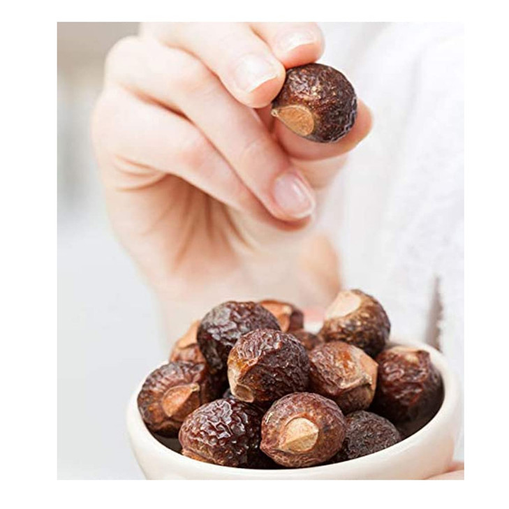 AnNafi Reetha Organic Soap Nuts ArithaAreethaKunkudukaialu Sapindus used for making Reetha Powder Ritha Shampoo Oil Natu
