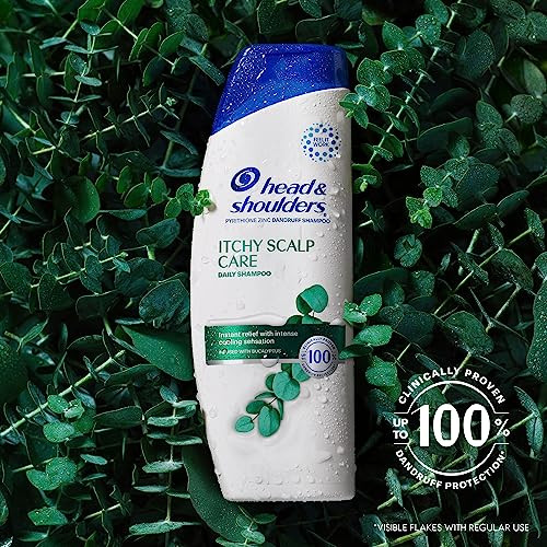 Head Shoulders AntiDandruff Shampoo and Conditioner with 1 Pyrithione Zinc Eucalyptus for Itchy Scalp Care 2in1 Twin Pac