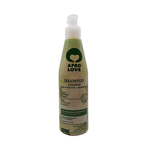 Afro Love Shampoo 16oz SulfateFree Moisturizing CurlDefining Shampoo for Natural Curly and Coily Hair Hydrating Formula