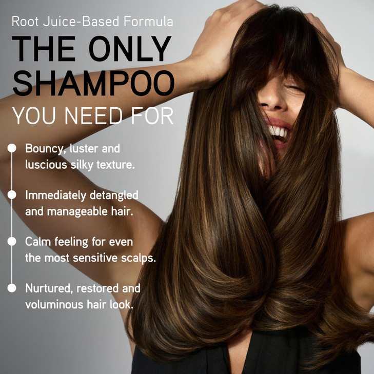 ILES FORMULA Shampoo for Dry Damaged Frizzy or Color Treated Hair Hydrating Sulfate Free Shampoo Salon Grade Color Safe