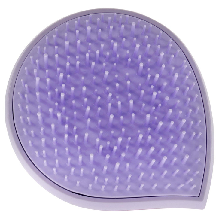 Michel Mercier Pack and Go Detangler Unisex Detangling Hair Brush Mini Portable Travel Size Compact Brush Fine Hair Purp