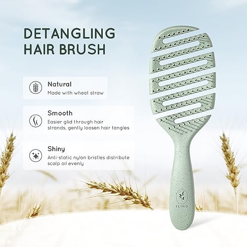 Ecoed Detangler Hairbrush Soft Bristle Detangling Brush for Straight Wavy Curly and Fine Hair Dry and Wet Quick Smoothin