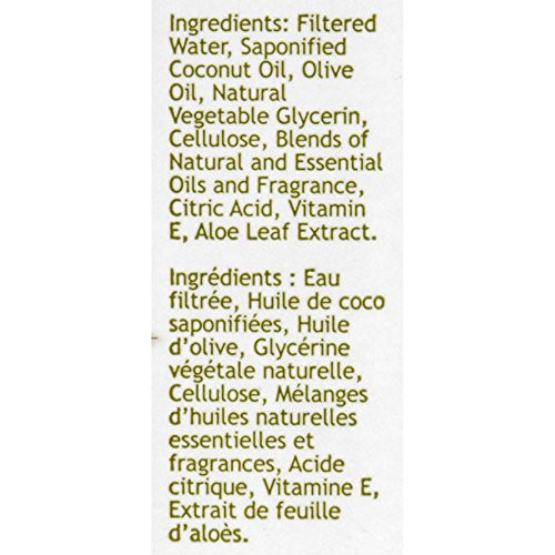 SOUTH OF FRANCE Green Tea Hand Wash, 8 Ounce online at globaldelivered