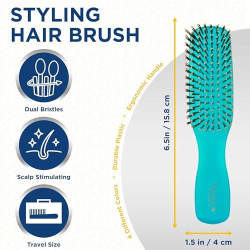 Giorgio GION2B Neon Blue 625 inch Gentle Touch Detangler Hair Brush for Men Women and Kids Soft Bristles for Sensitive S