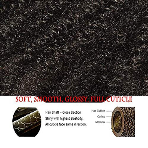 Brazilian Afro Kinky Curly Hair 822inch 4B4C 1 Bundle 100g Brazilian Virgin Remy Human Hair Weaves Natural Black Color 1