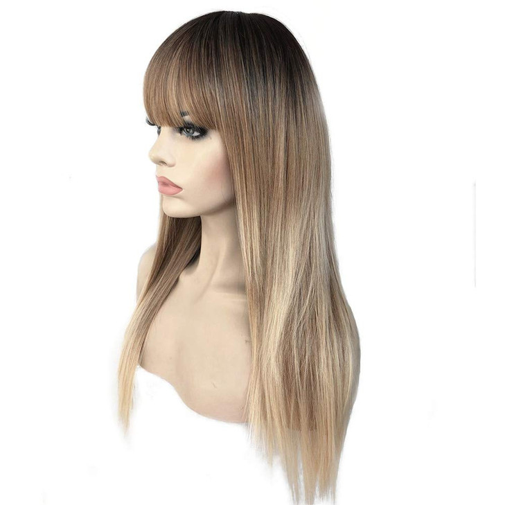 Aimole 24 Long Straight Premium Synthetic Wig Natural Ombre Wigs T6271613A Brown Blonde