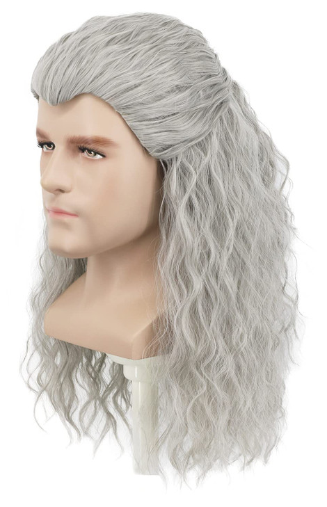 yuehong Adult Long Curly Gray Mens Wig Wavy Anime Cosplay Wig Heat Resistant Synthetic Fibers Daily Party Costume Hair
