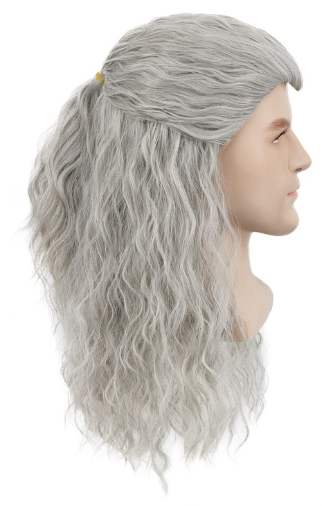 yuehong Adult Long Curly Gray Mens Wig Wavy Anime Cosplay Wig Heat Resistant Synthetic Fibers Daily Party Costume Hair
