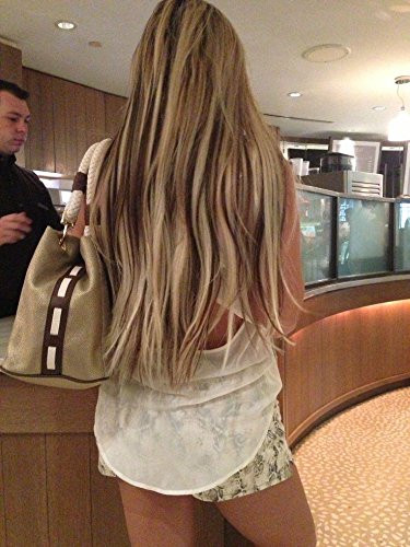 Sylvia 24 Natural Blonde Omber Brown Highlight Silky Straight Synthetic Lace Front Wigs Middle Parting 180 Density Heat