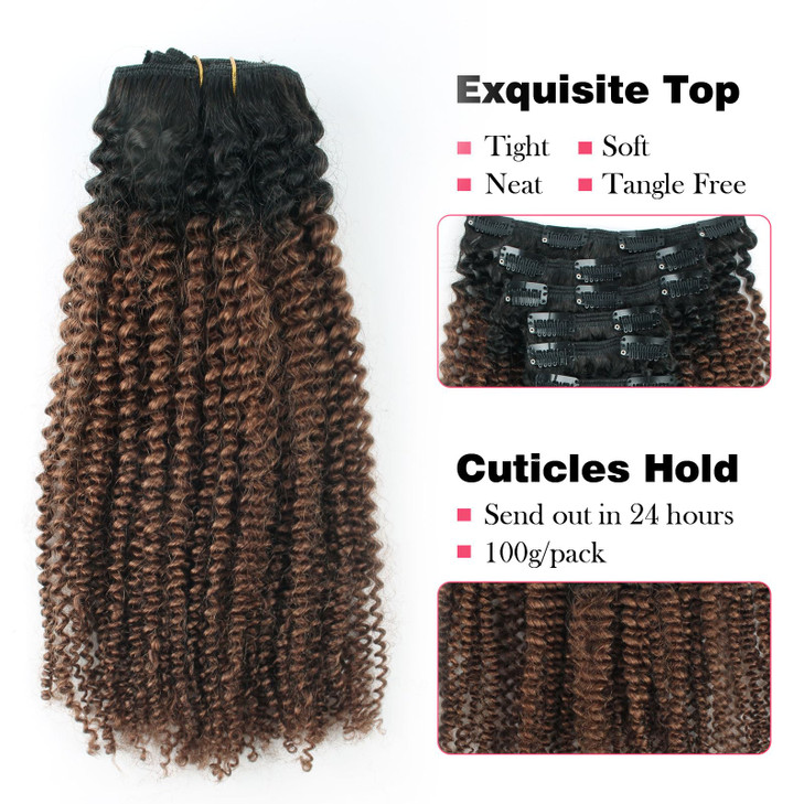 Sassina Afro Curly Clip in Human Hair Extension for Black Women 4B 4C Afro Kinky Curly Clip ins Double Weft Remy Human H