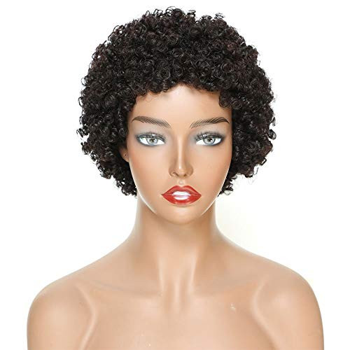 Ms Taj Short Human Hair Afro Wigs for Black Women Brazilian Virgin Short Curly Afro Wigs Human Hair 150 Density Natural