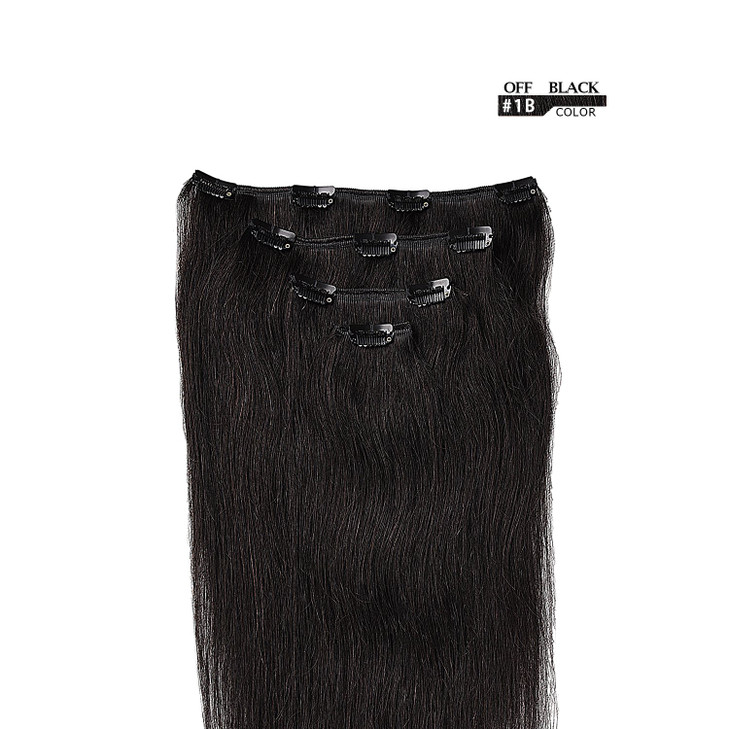 20 Clip in Hair Extensions Remy Human Hair for Women Silky Straight Long Human Hair Clip on Extensions 75grams 4pieces N