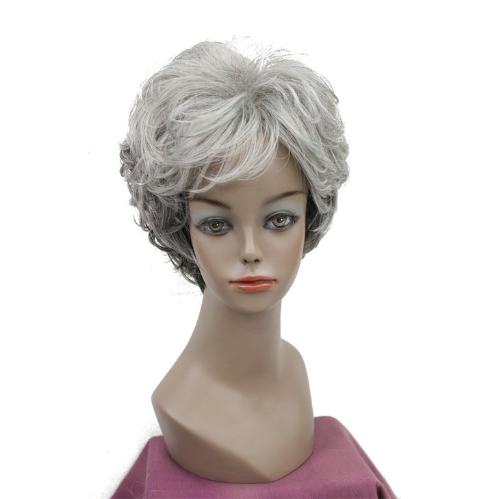 Lydell Womens Wigs Fluffy Naturally Curly Short Synthetic Hair Full Wig 456 Silver Gray