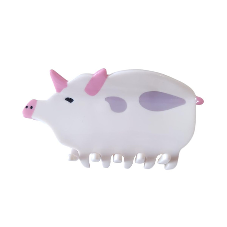 Pig Hair ClipsCellulose Acetate Hair ClipsSmall Claw Clips for GirlHair Accessories