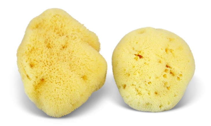 Constantia Beauty Premium Natural FINA Silk Sponges 2pc 4 45 Luxury Softness on The Skin from The Mediterranean Fine Por
