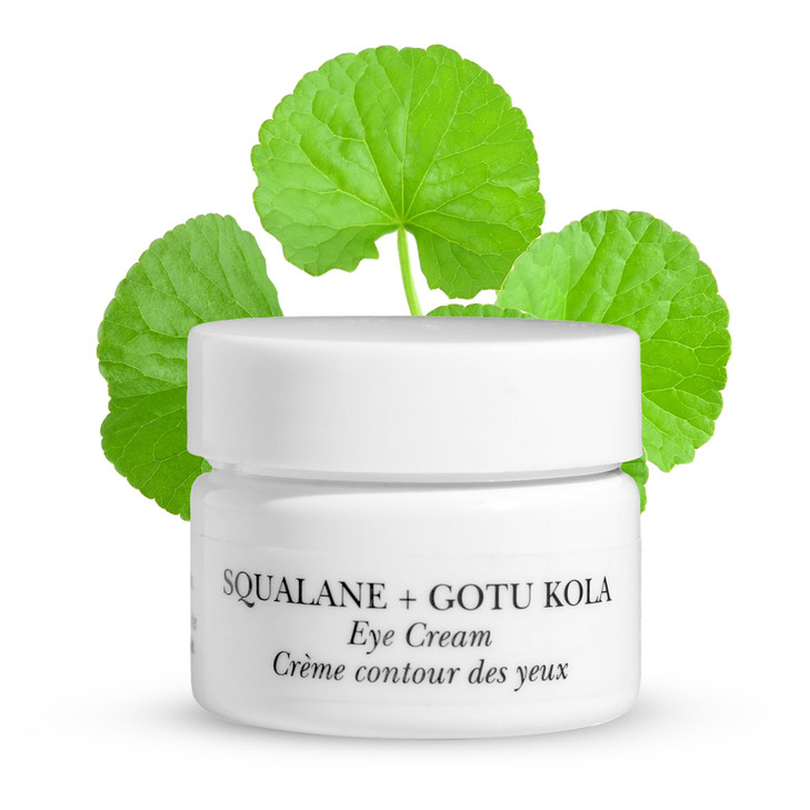 NOW BEAUTY Squalane Plus Gotu Kola Eye Cream Brightening AntiAging Under Eye Cream Anti Wrinkle Vitamin C Cream Vegan Fo