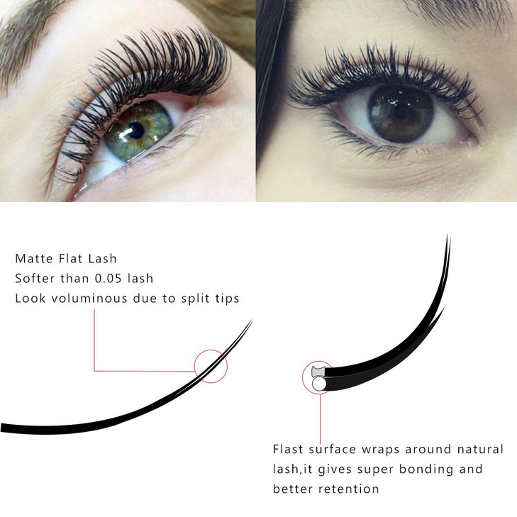 Qeelasee Ellipse Eyelash Extension 020mm C Curl 15mm Flat Individual Eyelashes False Lashes Mink Lashes Extensions
