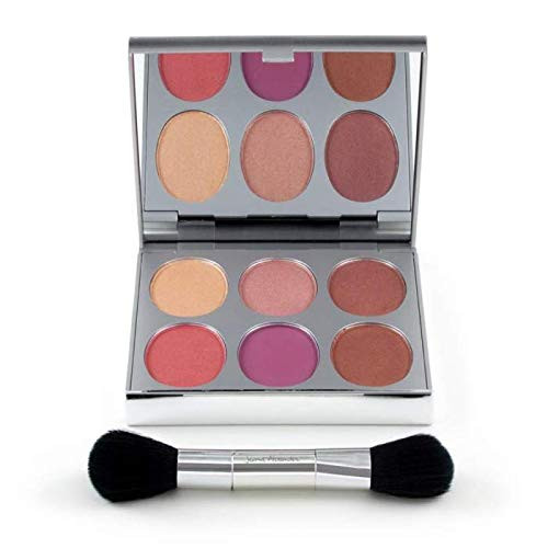 New Again by Jerome Alexander Blusher Palette Brush 6 Buildable Blendable Micronized Powder Blushers for All Skin Tones