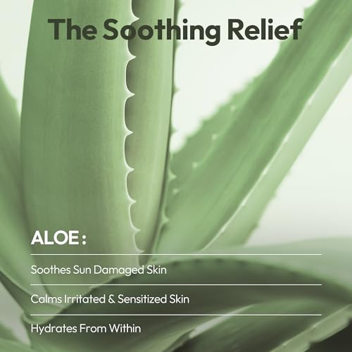 LAPCOS Aloe Sheet Mask Daily Face Mask with Cucumber and Aloe Gel to Calm and Moisturize Skin Korean Beauty Favorite 5Pa