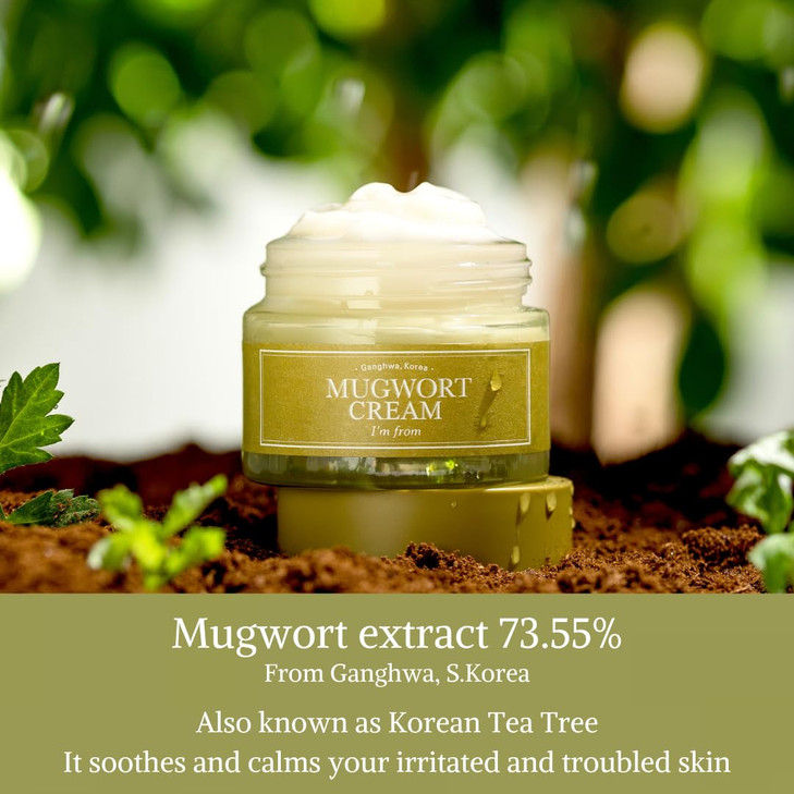 Im from Mugwort Cream For all skin type 169 fl oz Moisturizer with 7355 Mugwort Extract Soothing Calming Redness Relief