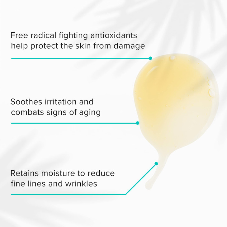 ClarityRx Take Care Daily Antioxidant Red Tea Face Serum Natural PlantBased Hydrating AntiAging Facial Treatment for Env