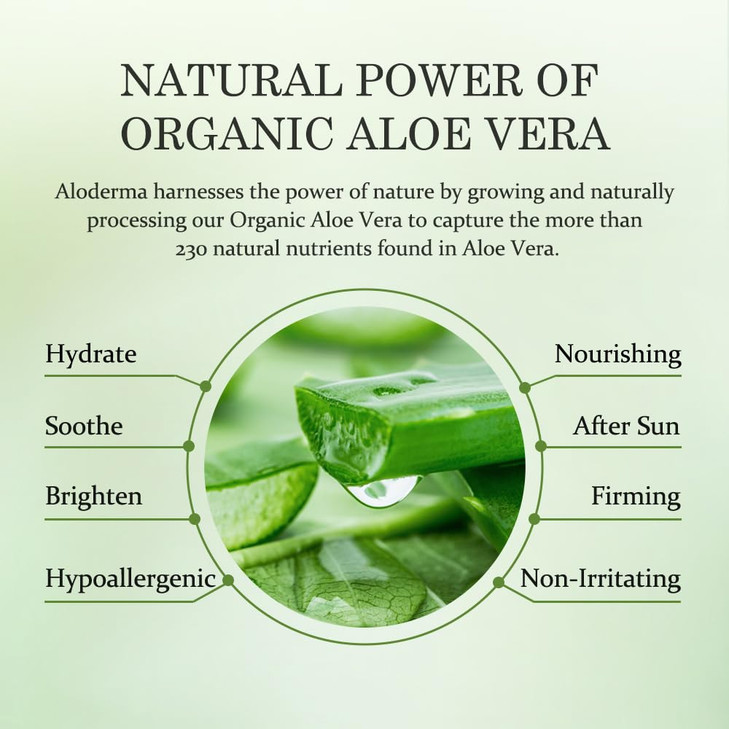 Aloderma Hydrating Face Cream for Dry Skin Made with 65 Organic Aloe Vera Natural Hydration with Hyaluronic Acid Arginin