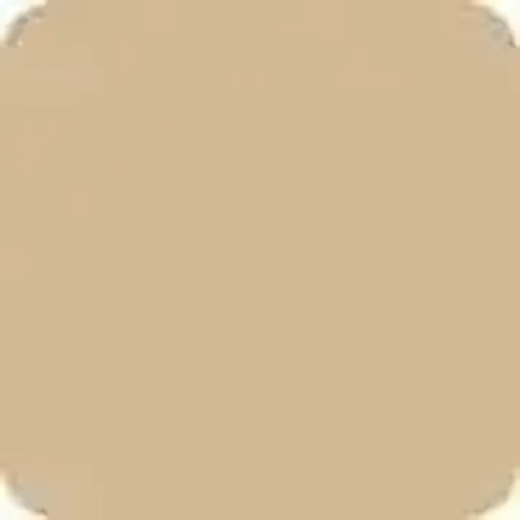 NARS Natural Radiant Longwear Foundation Punjab by NARS for Women 1 oz Foundation