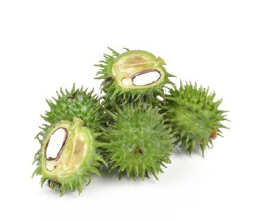 Castor Wax Hydrogenated Castor Oil Great Thickening Agent for lotions and Creams Lip balms Body Creams Hair Care Product