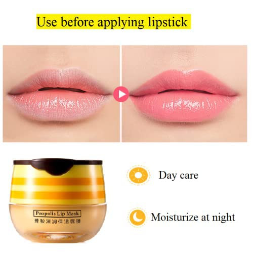 2PCS Bee Balm Honey PotPropolis Moisturizing Lip MaskHydrating Prevention Dry and Cracked Lip Scrubs Exfoliator