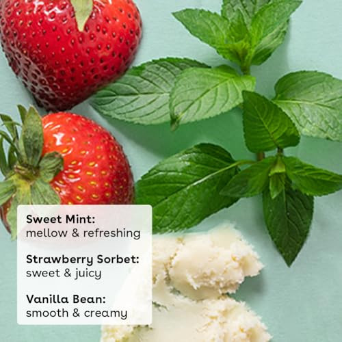 eos 100 Natural Organic Lip Balm Trio Vanilla Bean Sweet Mint Strawberry Sorbet Made for Sensitive Skin Lip Care Product