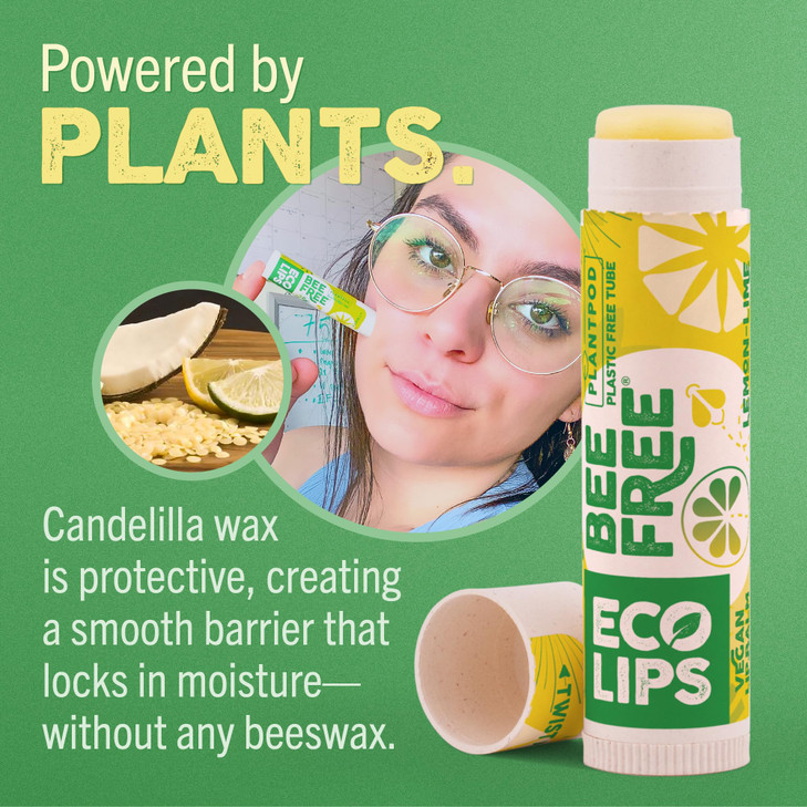 Vegan Lip Balm Sweet Mint by Eco Lips flavor 3 Pack Natural Bee Free with Candelilla Wax Organic Cocoa Butter Coconut Oi