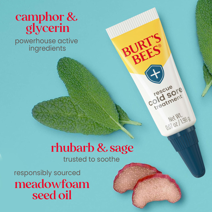 Burts Bees Cold Sore Treatment and Medicated Lip Balm With Menthol and Eucalyptus Oil Natural Origin Skincare 2 Tubes 00