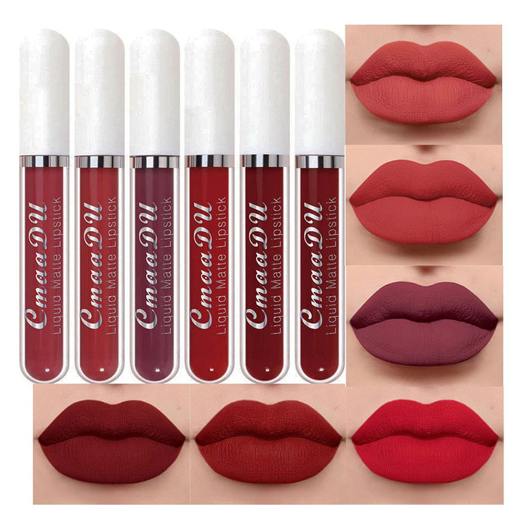 evpct 6Pcs Lipstick Matte Liquid Lipstick Lipgloss Set for Women Dark Deep Bright Ruby Sexy Brick Red Mauve labiales mat