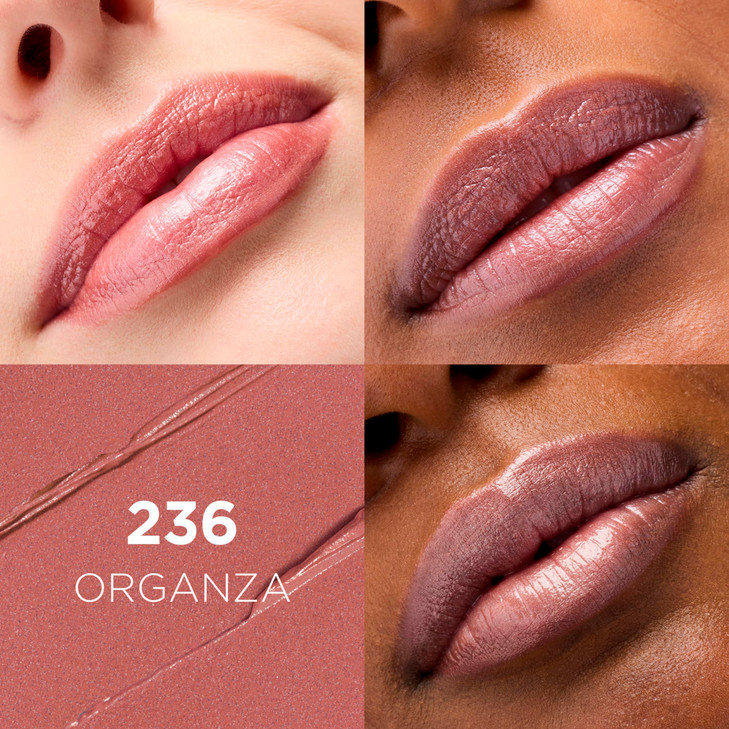 LOreal Paris Colour Riche Original Creamy Hydrating Satin Lipstick with Argan Oil and Vitamin E Organza 1 Count