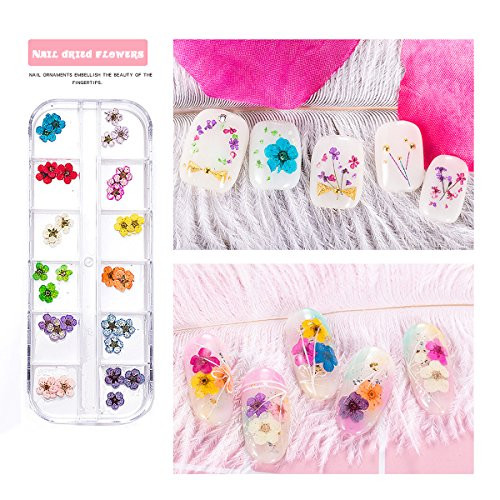 12 Colors Real Dried Flowers Nail Art AccessoriesFivePetals Flower 3D Nail Stickers for Nail Art DIY Decoration