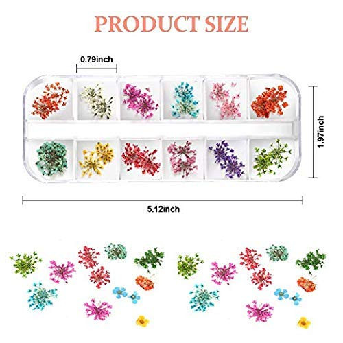 LPOne 2 Boxes 3D Nail Mini Dried Flowers Sticker Nail Art Resin Craft DIYReal Natural Dried Flowers Five Petal Flower Le