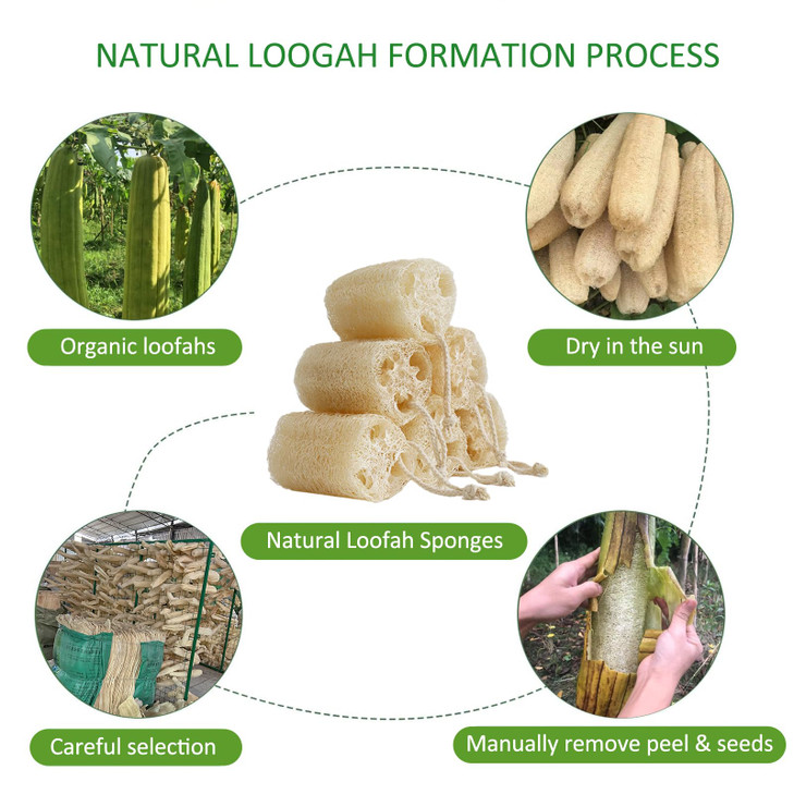 FRTIM Natural Loofah Sponge, Organic Bath Loofah Pack, Lufas Exfoliating Body Scrubber, Loofas Sponges Shower Loofah for Women and Men, Skin SPA Ecot online at globaldelivered