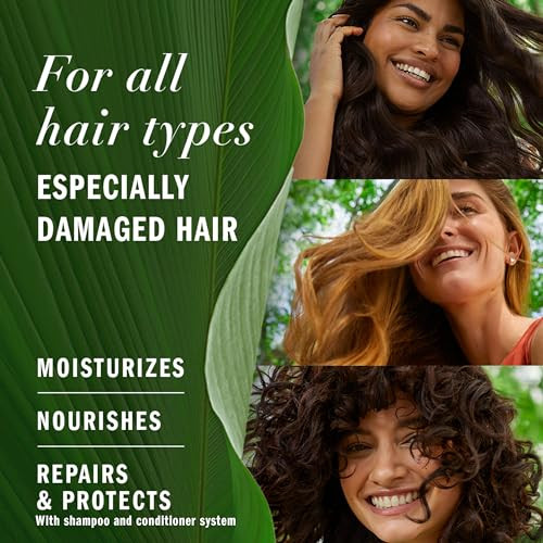 Herbal Essences Avocado Oil Sulfate Free Shampoo, Hair Repair, 13.5 Fl Oz, with Certified Camellia Oil and Aloe Vera, For All Hair Types, Especially