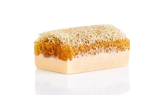 SABUN CO Donkey Milk Soap with Honey Natural Exfoliating Loofah Soap Bar Nourishing Hydrating Moisturizing and Handmade