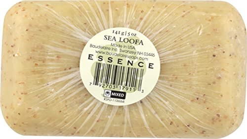 Essence Soap Loofa Sea 5 Ounce