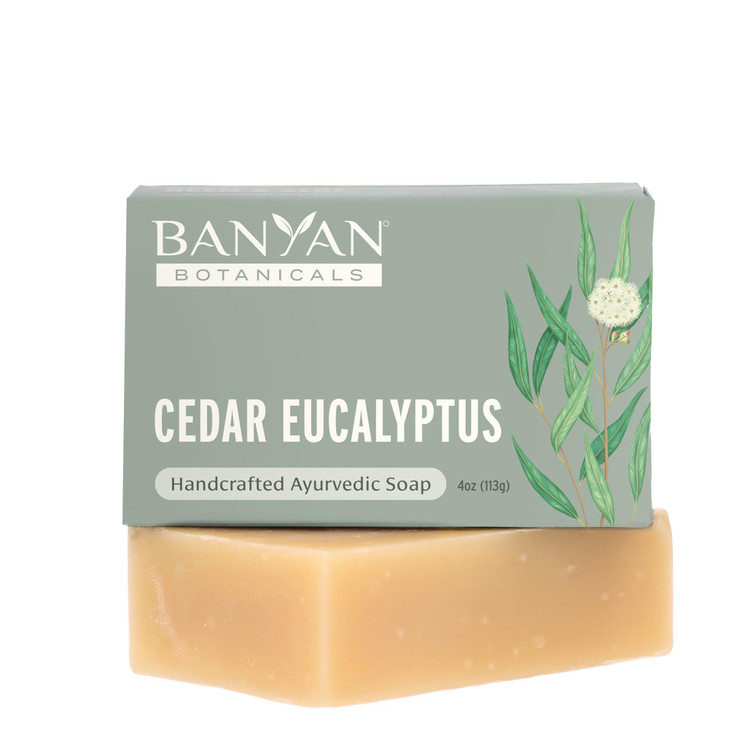 Banyan Botanicals Cedar Eucalyptus Soap With Eucalyptus and Himalayan Cedarwood Essential Oil Calming Refreshing with an