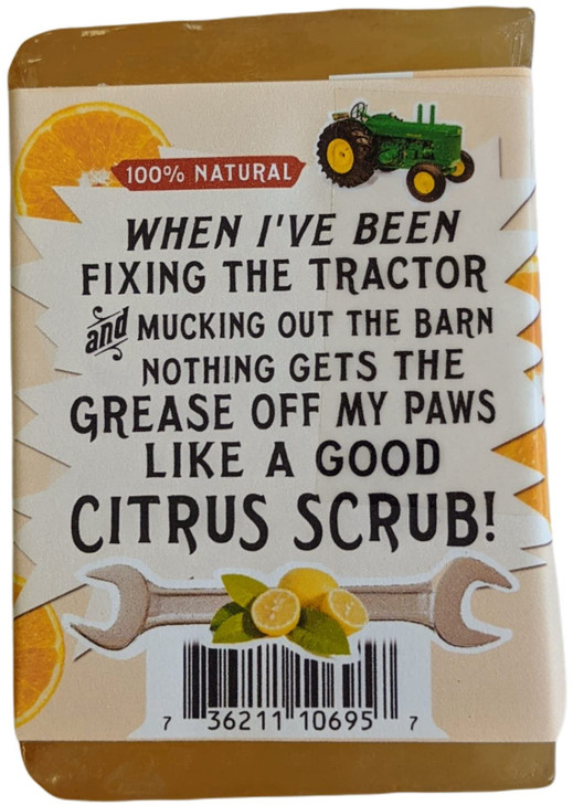 Cheeky Ginger Citrus BAR SOAP Orange Grapefruit Lemon Ginger