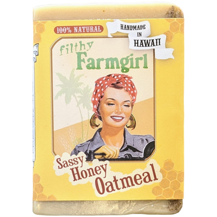 Sassy Honey Oatmeal all natural glycerin BAR SOAP Cinnamon Oats Vanilla